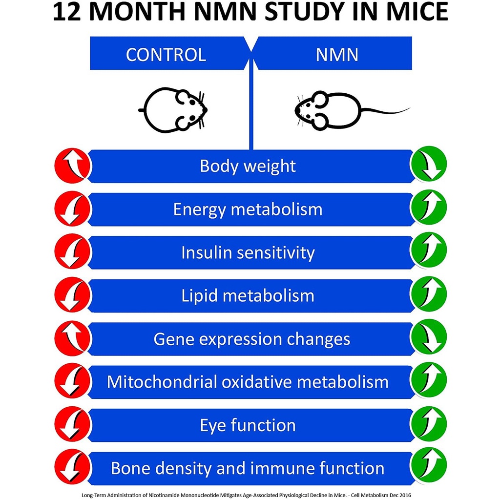 Nicotinamide Riboside NAD+ อาหารเสริม รองรับการเผาผลาญเซลลูลาร์ และซ่อมแซม ผิวขาว สมอง และต่อต้านริ้วรอย ราคา ถูกที่สุด ดีลบีเคเค แกลเลอรีภาพที่ 5