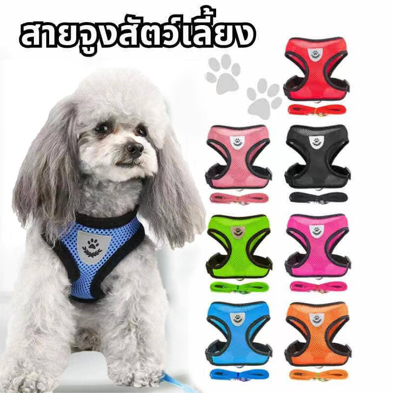 [ลดพิเศษ]จูงหมา สําหรับสัตว์เลี้ยง สุนัข แมว กระต่าย ขนาดเล็ก เสื้อจูงแมว ผ้าตาข่าย พร้อมสายจูง บสัตว์เลี้ยง