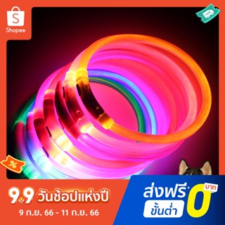 Pota ปลอกคอสุนัข LED เรืองแสง ชาร์จ USB สําหรับลูกสุนัข กลางแจ้ง