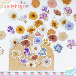 Solighter สติกเกอร์ ลายดอกไม้ หลากสี สําหรับตกแต่ง DIY 46 ชิ้น/กล่อง