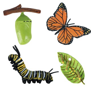 4pcs Animal For Kids Educational Toy Model Growth Learning Cognition School Project Insect Figurine