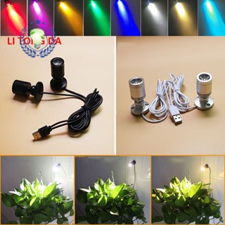 โคมไฟสปอตไลท์ led 5V อินเตอร์เฟส ขนาดเล็ก แฮนด์เมด ชาร์จ USB สําหรับติดเพดานไวน์