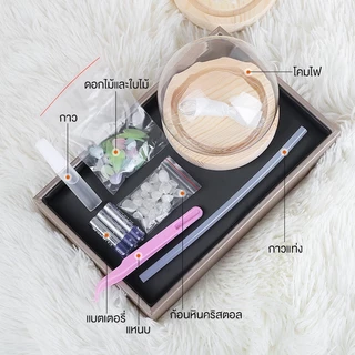 Panasi โคมไฟ Led รูปดอกทิวลิปจําลอง DIY โคมไฟตั้งโต๊ะ