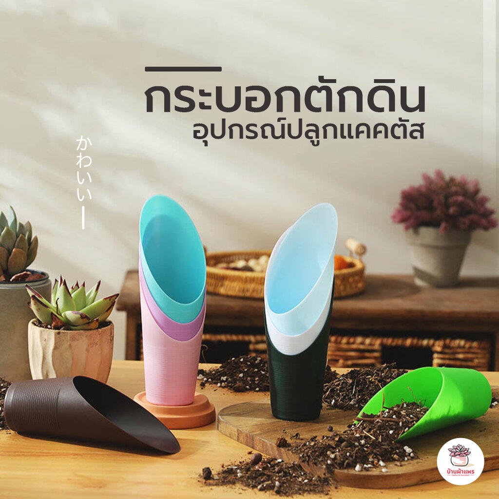 กระบอกตักดิน ที่ตักดิน อุปกรณ์ปลูกแคคตัส แคคตัส กระบองเพชร ไม้อวบน้ำ cactus&succulent