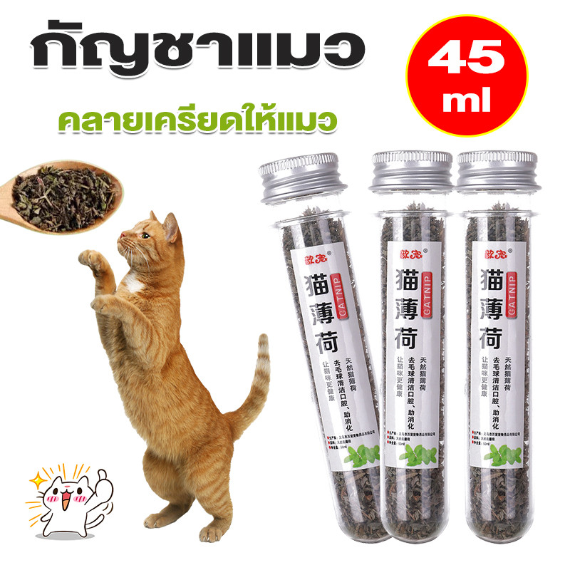 กัญชาแมว Catnip คลายเครียดให้แมว 45ml บบผงขนาด ของเล่นแมว