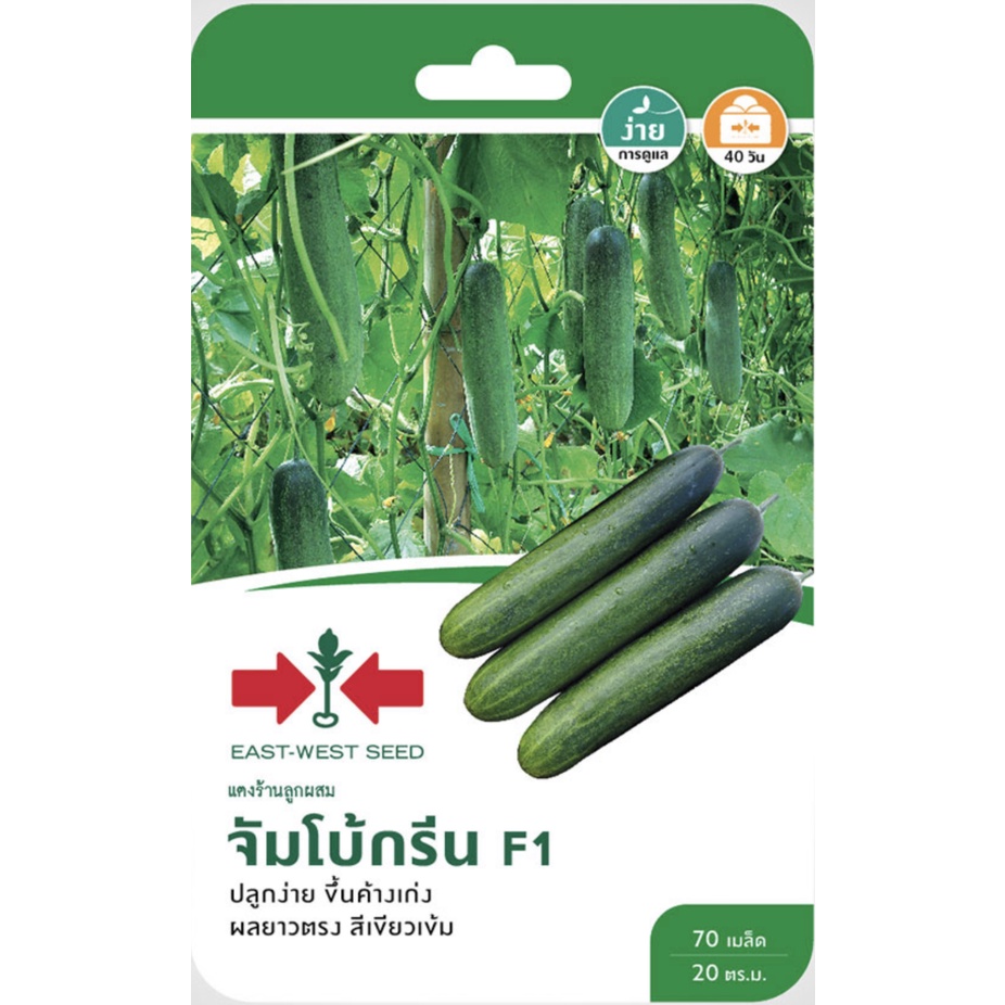 แตงร้าน จัมโบ้กรีน SD/F1-010 ผักซอง ศรแดง F1 เมล็ดพันธุ์ผัก แตง เมล็ดพันธุ์ ผักสวนครัว