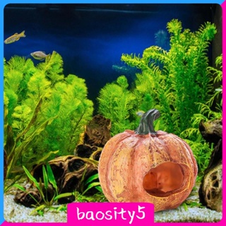 [Baosity5] ฟักทอง ตกแต่งตู้ปลา พิพิธภัณฑ์สัตว์น้ํา สําหรับเครื่องประดับโต๊ะ บ้าน