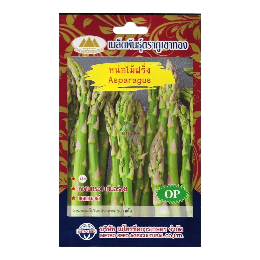 เมล็ดหน่อไม้ฝรั่ง Asparagus MT/OP-134 ปริมาณ20เมล็ด หน่อไม้ฝรั่ง เมล็ดพันธุ์ผัก เมล็ดพันธุ์หน่อไม้ฝรั่ง