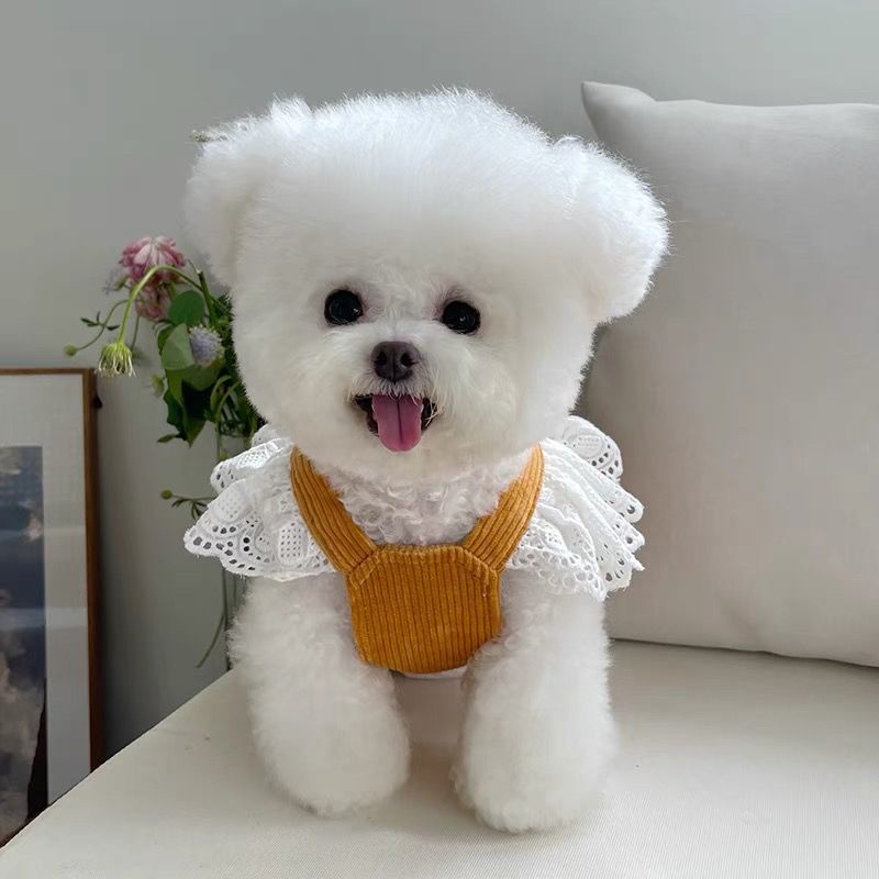 เสื้อผ้าสัตว์เลี้ยง กระโปรงลูกฟูก ลายฟักทอง แต่งลูกไม้ ให้ความอบอุ่น แฟชั่นฤดูใบไม้ร่วง และฤดูหนาว สําหรับสุนัข แมว