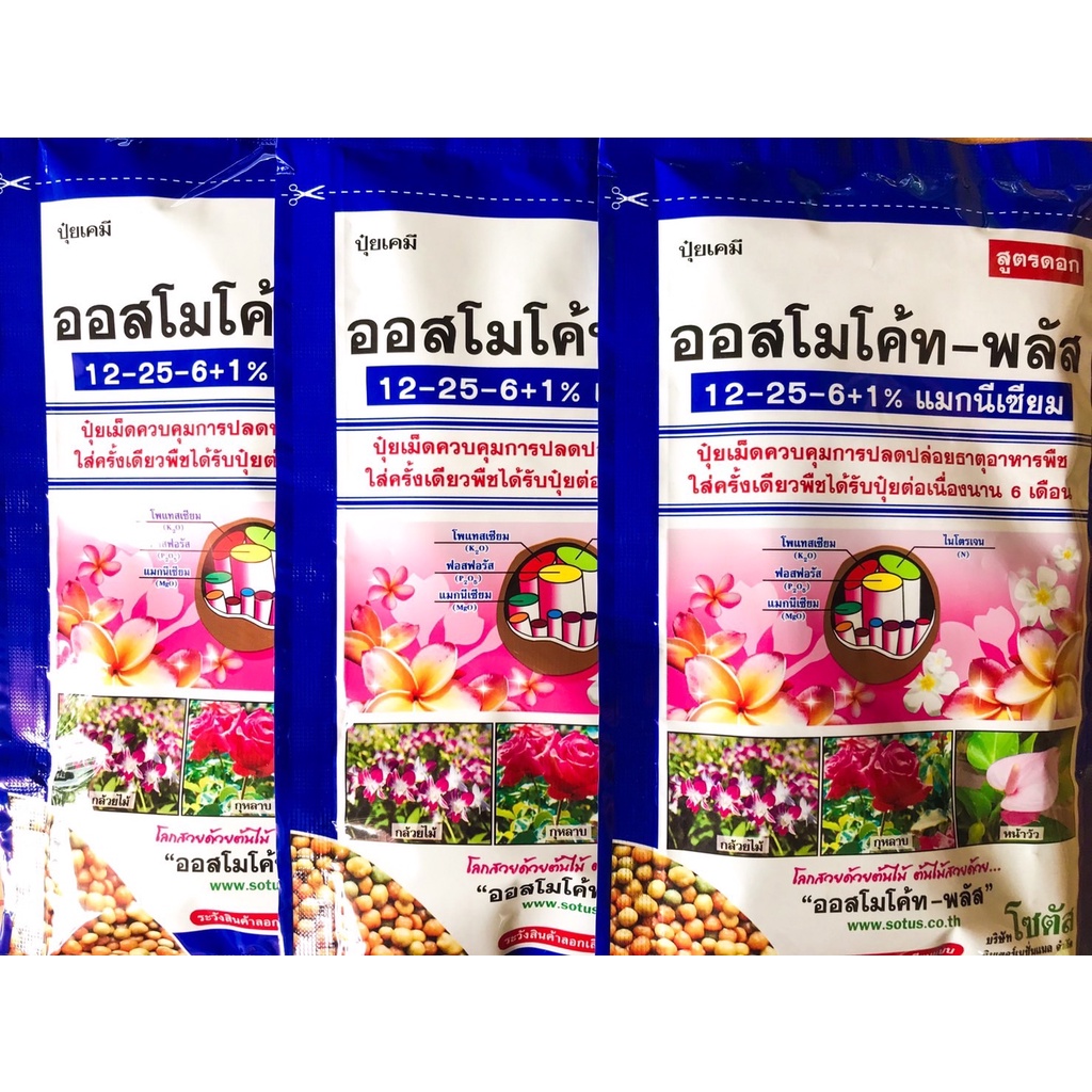 ปุ๋ยละลายช้า ปุ๋ยออสโมโค้ท ขนาด 100g 12-25-6+1% บำรุงต้น เร่งดอก บำรุงต้น เร่งดอก