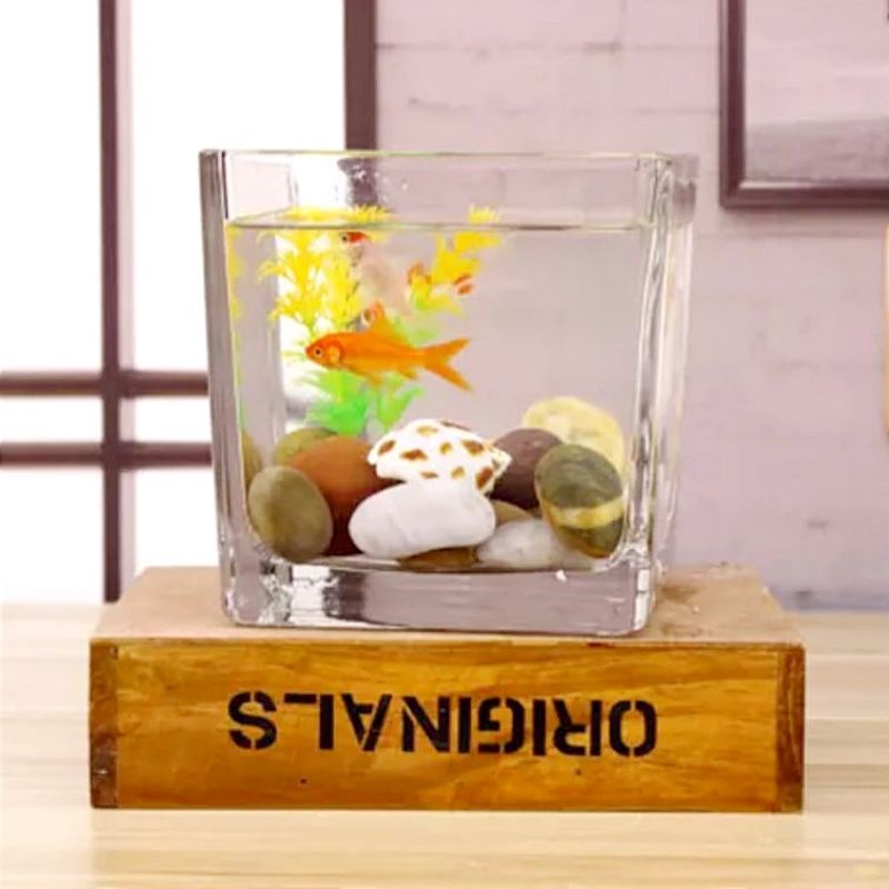 12 ซม. SQUARE MINI AQUARIUM / SMALL ORNNAMENTAL FISH AQUARIUM / BETTA GUPPY TANK