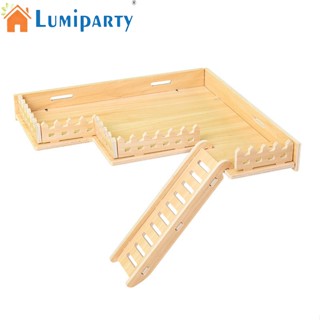 Lumiparty ของเล่นแพลตฟอร์ม ป้องกันการกัด สําหรับสัตว์เลี้ยง หนูแฮมสเตอร์