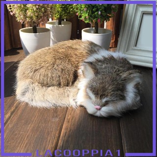 [Lacooppia1] ตุ๊กตาแมวน่ารัก ของขวัญวันเกิด สําหรับเด็ก