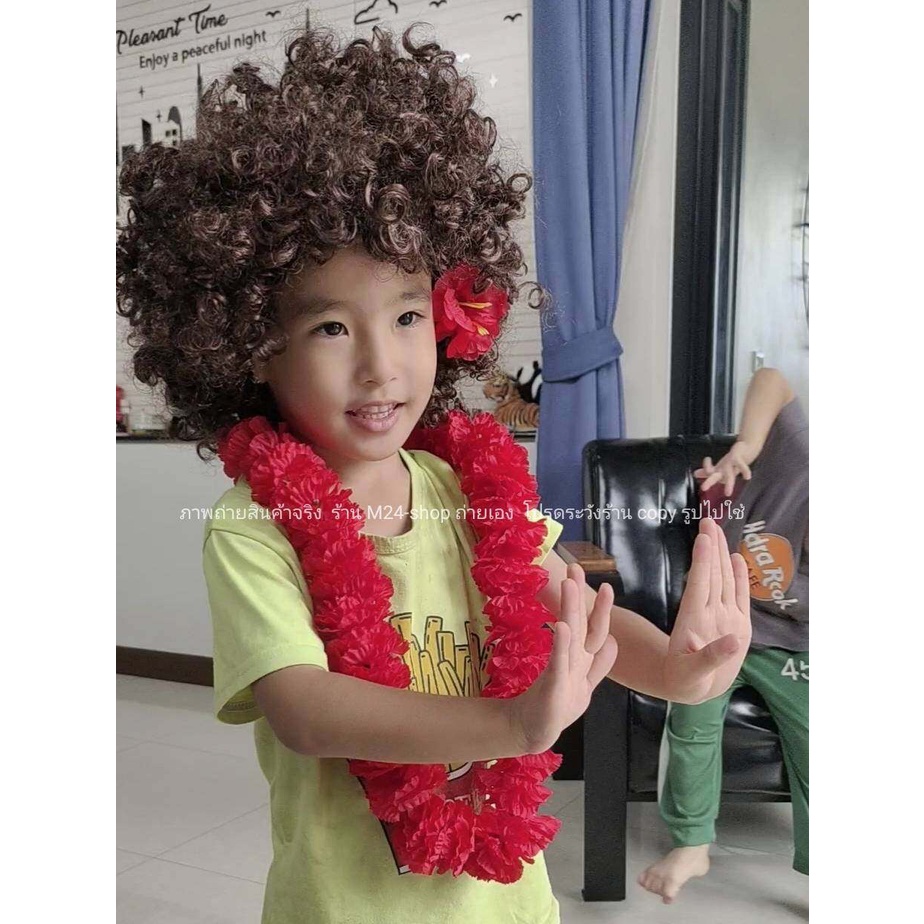 (มีตัวเลือก) คอสตูม เจ้าเงาะ เงาะป่า วิกเจ้าเงาะ วิก เงาะป่า วิก แอฟโฟร่ มาลัยคอ ดอกชบา ดอกไม้ปลอม afro wig m24