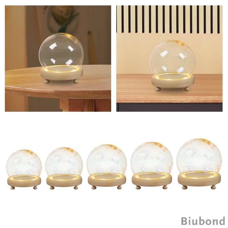 [Biubond] พร้อมฐานไม้ Terrarium DIY ตู้โชว์เครื่องประดับ