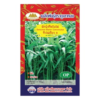 เมล็ดผักบุ้งจีนใบไผ่ ทิวไผ่เรียว9 MT/OP-001 ตราภูเขาทอง เมล็…