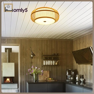 [Homyl5] โคมไฟเพดาน LED สไตล์นอร์ดิก สําหรับห้องโถง