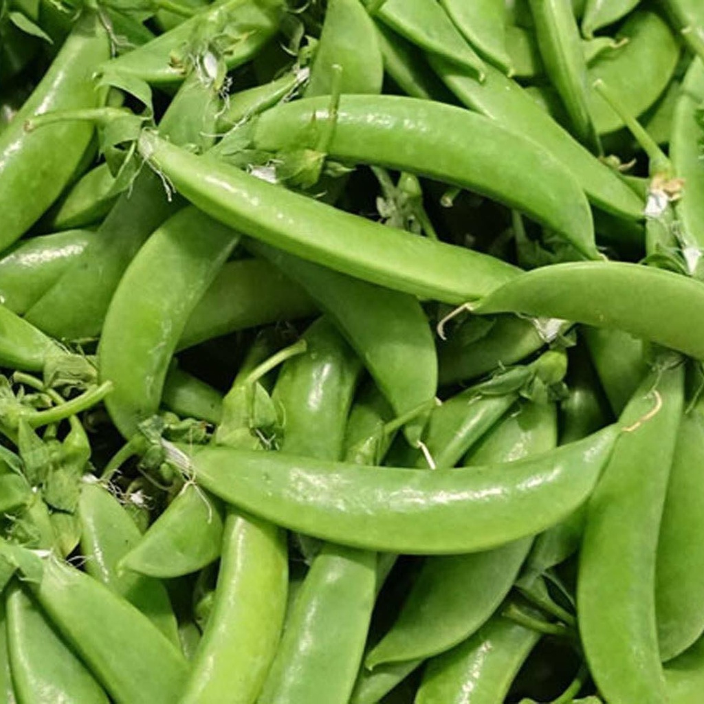 เมล็ดพันธุ์ ถั่วลันเตา ถั่วลังเตาหวาน 40 เมล็ด [10 แถม 1 คละได้]