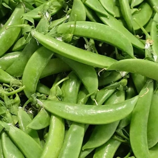 เมล็ดพันธุ์ ถั่วลันเตา ถั่วลังเตาหวาน 40 เมล็ด [10 แถม 1 คละได้]