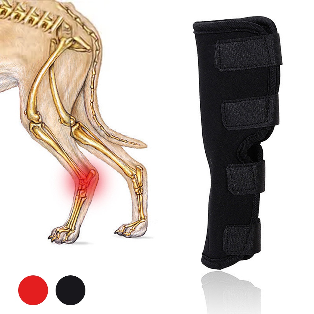 ผ้าพันแผลสุนัขขากรรไกรยาว ปลอกคอสุนัข Pet Leg Guard การบาดเจ็บที่ขาสัตว์เลี้ยง Anti Licking โรคข้ออักเสบ ปลอกคอสุนัข ปล