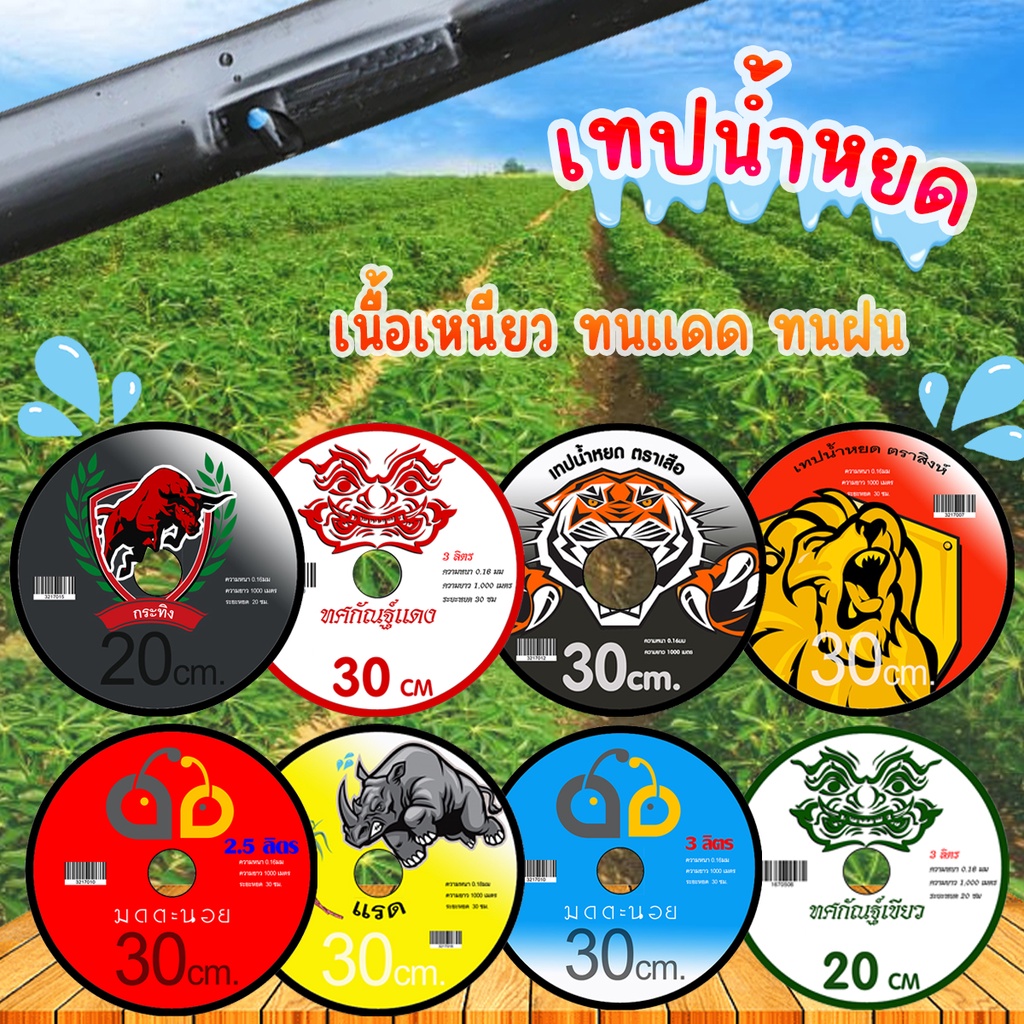 เทปน้ำหยด สายน้ำหยด 20 ซม. 30 ซม. 1000 เมตรเต็ม หนา0.16มม. สายส่งน้ำ เทปส่งน้ำ 20cm 30cm 1รู 2รู