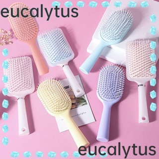 Eucalytus1 แปรงหวีผม จัดแต่งทรงผม|หวีนวดหนังศีรษะ แบบมืออาชีพ สําหรับร้านทําผม