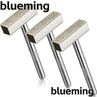 Blueming2 ล้อเจียร ซิลิคอนคาร์ไบด์ เพชร เซรามิค สีเงิน 4.5 X 1.3 ซม. 1.77 X 0.511 นิ้ว 3 ชิ้น