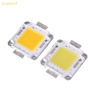 [ErudentT] ชิปหลอดไฟ led 10W 20W 30W 50W 70W 100W 2 สี 1 ชิ้น [ใหม่]