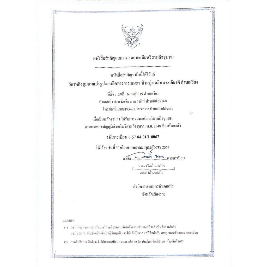 ผงใบฝรั่ง ออร์แกนิค 100% ไม่ผสม Guava leaves Powder ขนาดน้ำหนัก/Weight 100 กรัม/grams. ส่งไว คุณภาพดี - รูปที่ 6