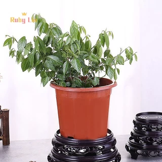 ทับทิม ลิน 1 ชิ้นแผ่นพลาสติกถาดดอกไม้สูงกรอบผู้ถือสีน้ําตาล-สีดําอุปกรณ์สวนรอบกระถางตกแต่งฐาน