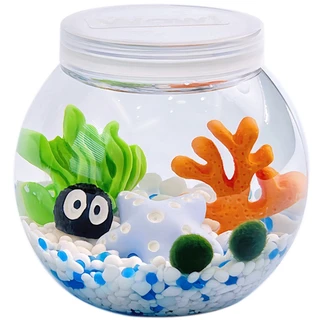 พร้อมส่ง✅ Marimo มาริโมะ เซ็ทพร้อมขวดแก้ว เหมาะสำหรับให้เป็นของขวัญสำหรับคนที่รัก