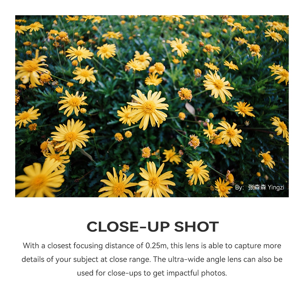 รูปภาพ 7