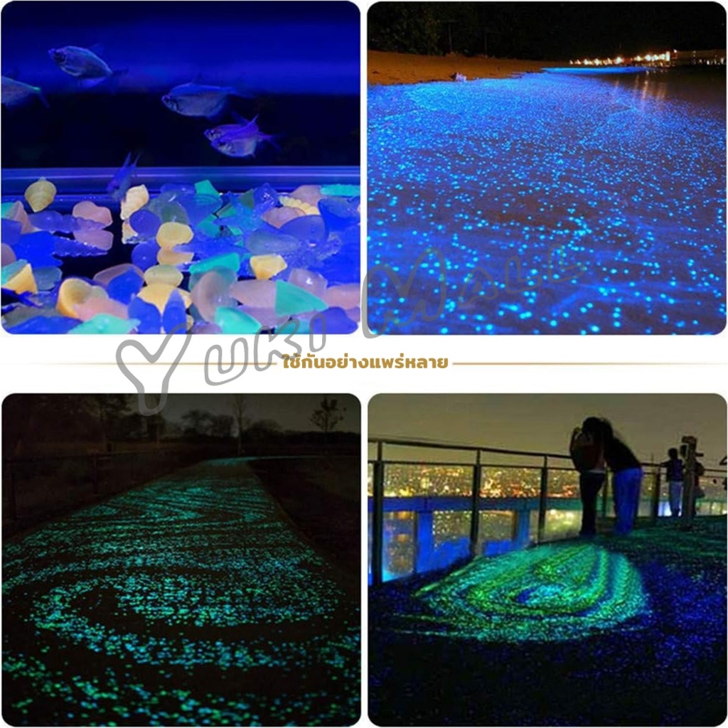 Yuki หินเรืองแสง รูปหอยสังข์ ตกแต่งสวน หรือตู้ปลา ขนาดหิน 2-3cm Luminous Stone - รูปที่ 3