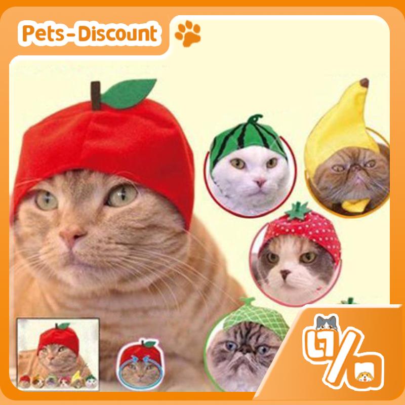 [Pets-Discount] 🚚ส่งจากไทย🚚 ที่คาดผม ลายผลไม้น่ารัก สําหรับสัตว์เลี้ยง แมว