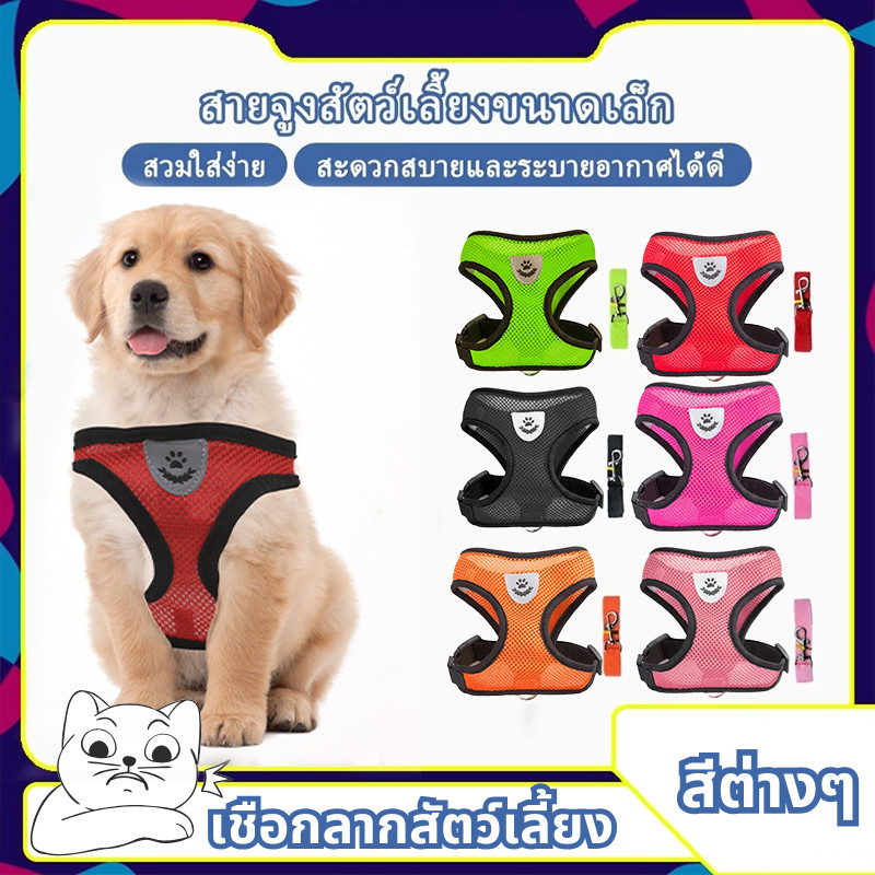 【ถูกที่สุด】จูงหมา สําหรับสัตว์เลี้ยง สุนัข แมว กระต่าย ขนาดเล็ก เสื้อจูงแมว ผ้าตาข่าย พร้อมสายจูง บสัตว์เลี้ยง