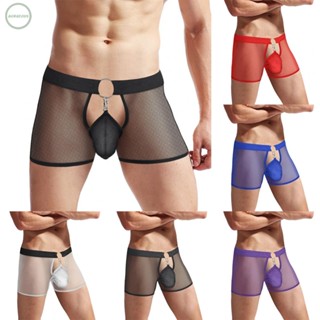 GORGEOUS~Men Underwear Leightweight Lingerie Mesh Panties Pouch See-through Sexy