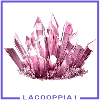 [Lacooppia1] ห้องปฏิบัติการเคมี วิทยาศาสตร์ สําหรับเด็ก