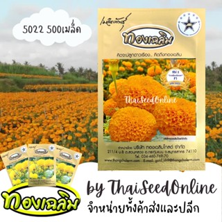 TC500S เมล็ดพันธุ์ ดาวเรืองตัดดอก ดาวเรืองทองเฉลิม 5022 500 เมล็ด Marigold Thongchalerm 5022 500Seeds