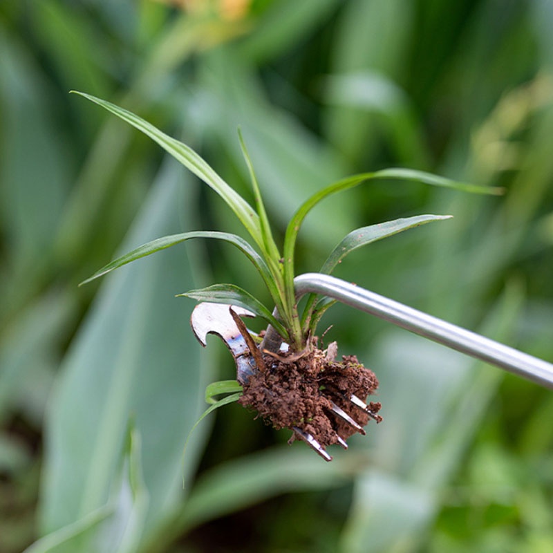 👍COD👍เครื่องมือกำจัดวัชพืช จอบ คราด คราดหญ้า คราดเหล็ก คราด คราดถอนหญ้า คราดมีด้าม กำจัดวัชพืช คลายดิน - รูปที่ 4