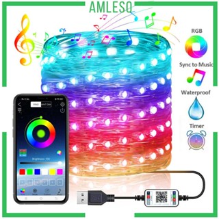 [Amleso] สายไฟหิ่งห้อย LED USB พร้อมตัวจับเวลา และบลูทูธ สําหรับตกแต่งสวน