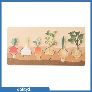 [Dolity1] ของเล่นไม้จับคู่ผัก เพื่อการศึกษา สําหรับเด็กผู้ชาย และเด็กผู้หญิง