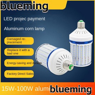 Blueming2 หลอดไฟ LED อลูมิเนียม 220V E14 E27 15-100W สีวอร์มไลท์ สําหรับติดเพดานบ้าน