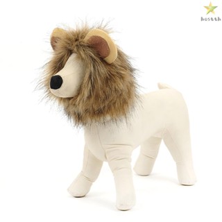 Mane Wig for Dogs and Cats - Turn your Pets into Lions for Halloween and Christmas