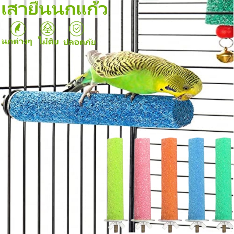 【1PCS】 คอนลับเล็บนก คอนยืนนกแก้ว คอนแบบติดกรง มีหลายขนาด