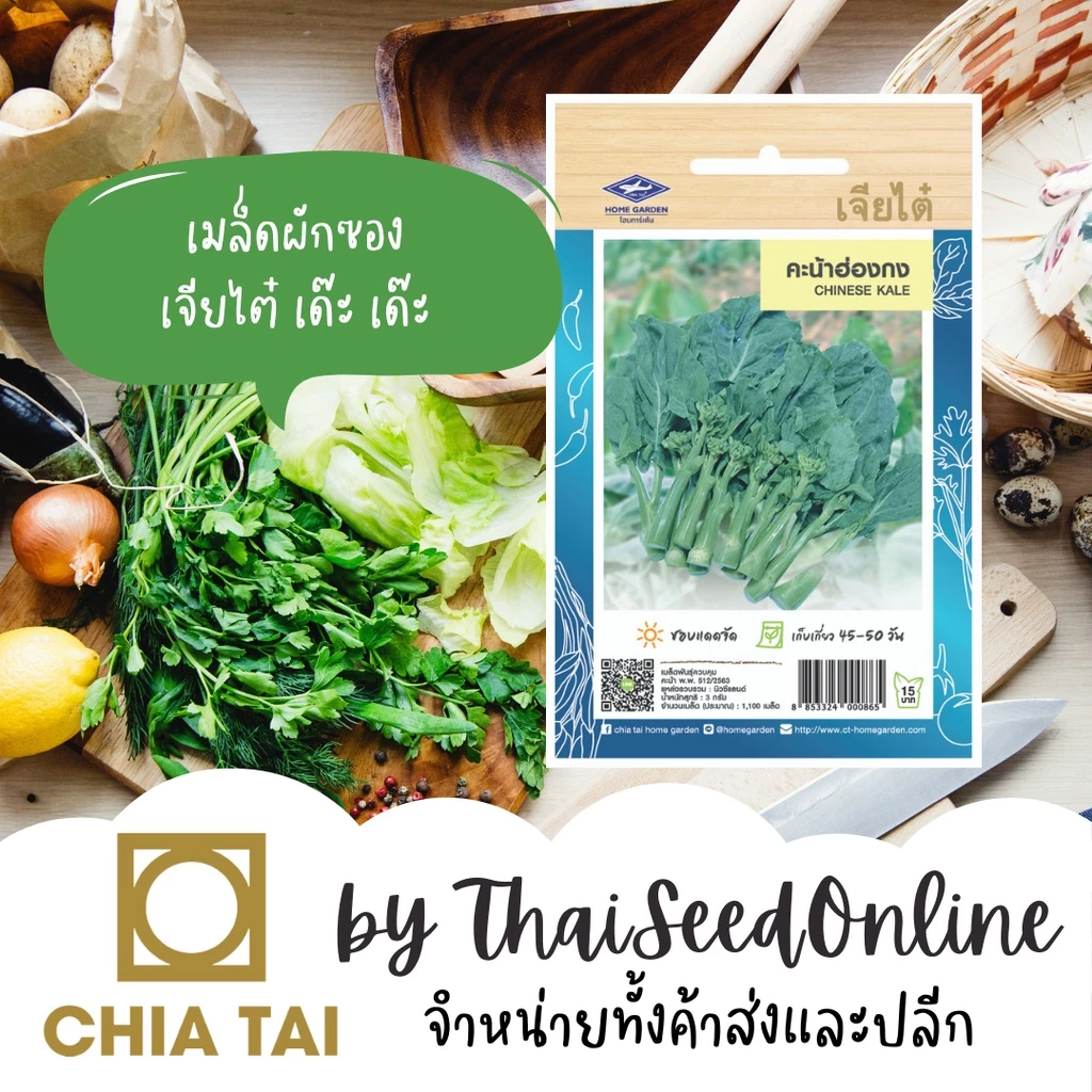 เจียไต๋ CTOP เมล็ดพันธุ์ คะน้าฮ่องกง 1100 เมล็ด ตราเจียไต๋ Chinese Kale (Chinese Broccoli)