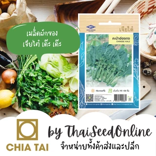 เจียไต๋ CTOP เมล็ดพันธุ์ คะน้าฮ่องกง 1100 เมล็ด ตราเจียไต๋ Chinese Kale (Chinese Broccoli)