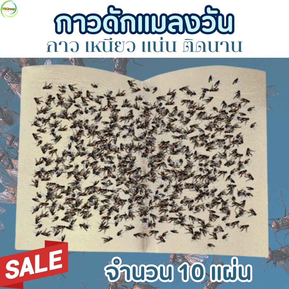 วิธีกําจัดแมงเม่า ที่ไล่ผึ้งคอนโด แผ่นกาวเหนียวติดแมลง มีคูปองลดเพิ่ม Fly Trap 10 แผ่น ไม่เยิ้ม