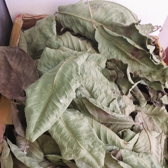 ผงใบฝรั่ง ออร์แกนิค 100% ไม่ผสม Guava leaves Powder ขนาดน้ำหนัก/Weight 100 กรัม/grams. ส่งไว คุณภาพดี - รูปที่ 5