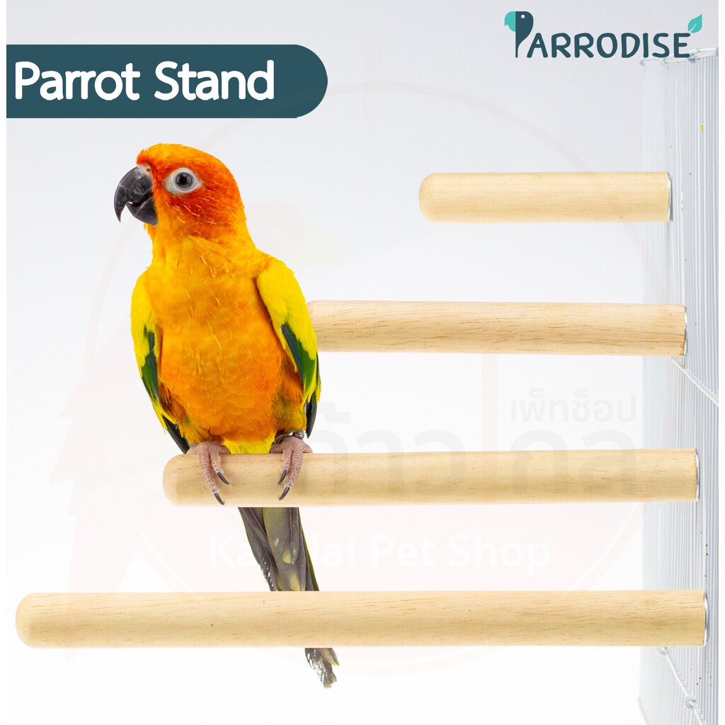Parrodise คอนไม้ คอนแบบติดกรง คอนนก คอนนกแก้ว 10 cm -25 cm