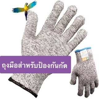 ถุงมือสำหรับป้องกันนกแก้ว แมว หนูแฮมเต้อ กัด ถุงมือกันกัด